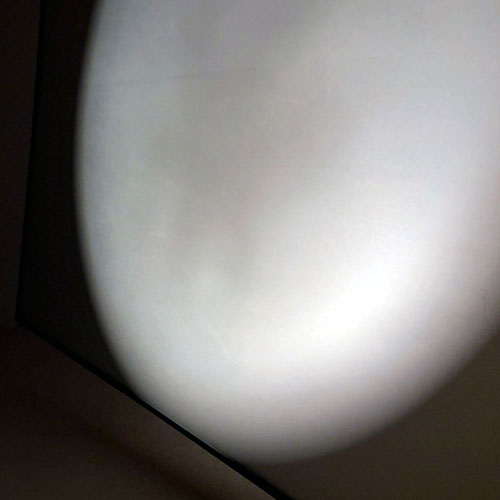 Specular Field (Echo(Echo))